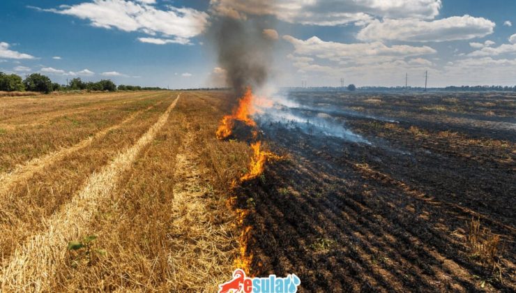 TZOB’DAN ‘ANIZ’ UYARISI
