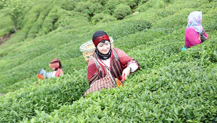 TÜRK ÇAYI 104 ÜLKEYE ULAŞTI