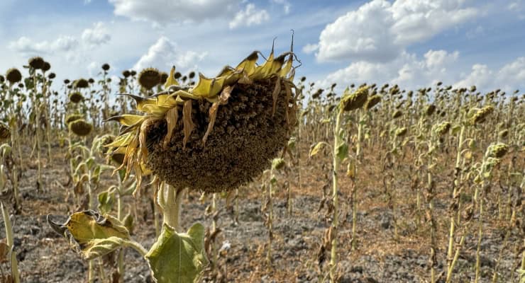 TRAKYA’DA KURAKLIK ALARMI