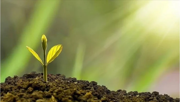 İLK İKLİM KANUNU YÜRÜRLÜKTE