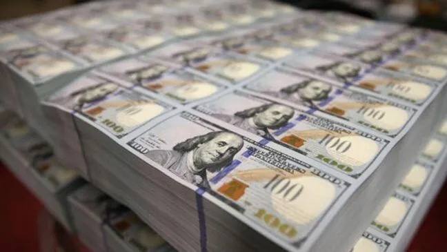 Merkez rezervlerinde tarihi rekor