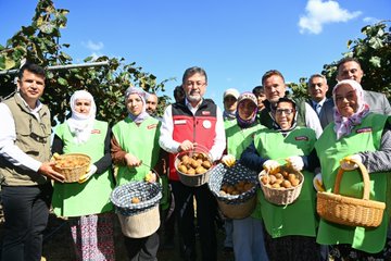 YUMAKLI KİVİ HASADINA KATILDI