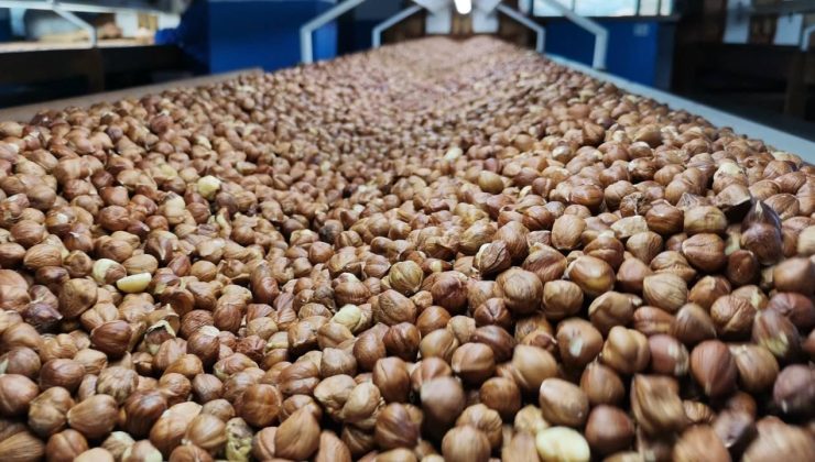 FINDIKTA 2,2 MİLYAR DOLARLIK İHRACAT