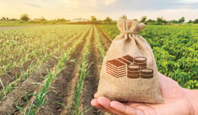 Kırsal kalkınmaya dev yatırım