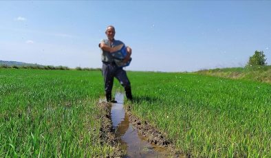 İki üründe gümrük vergisi kaldırıldı