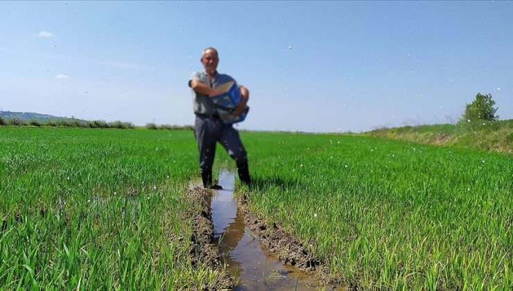 İki üründe gümrük vergisi kaldırıldı